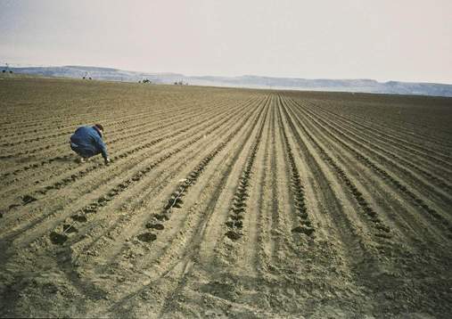 Polje05